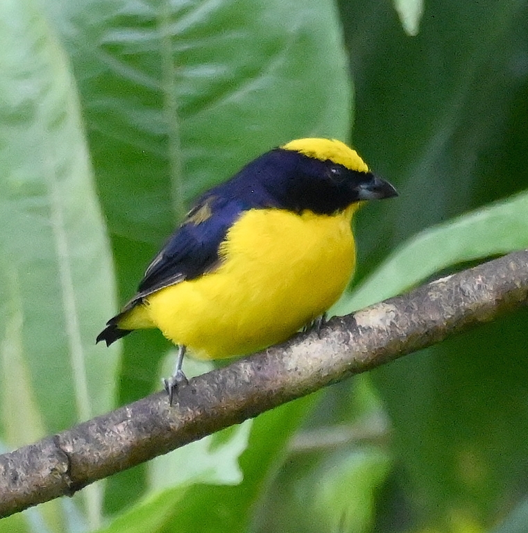 DSC_4801b.jpg