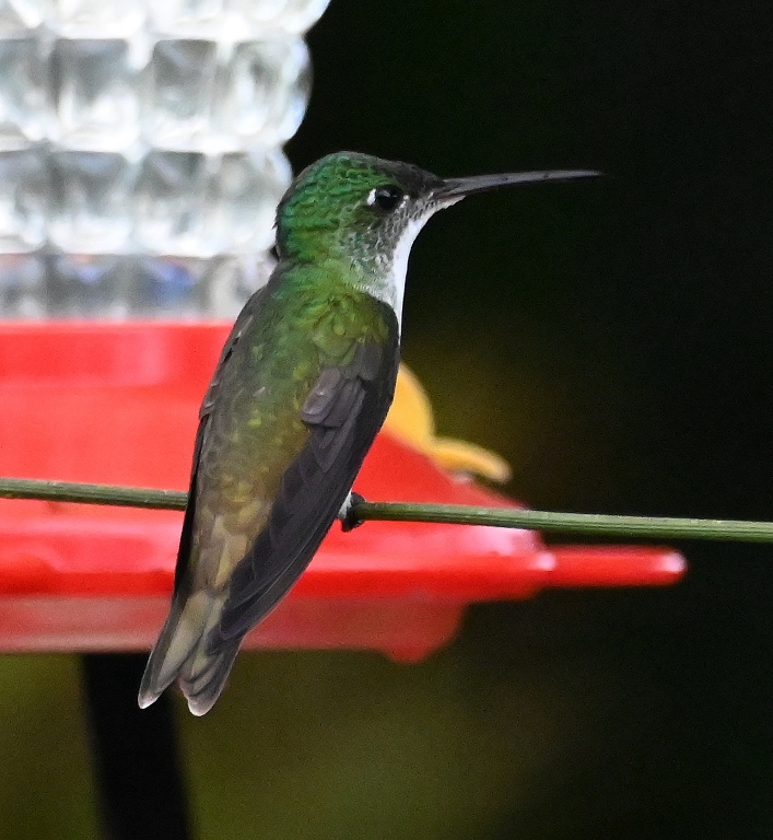 DSC_4841b.jpg