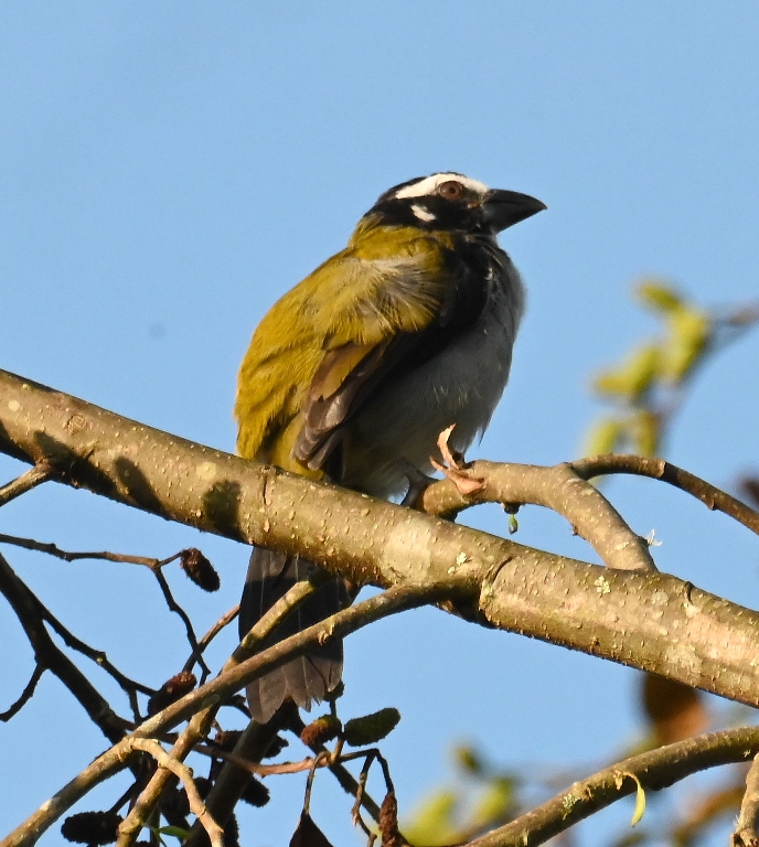 DSC_5026b.jpg