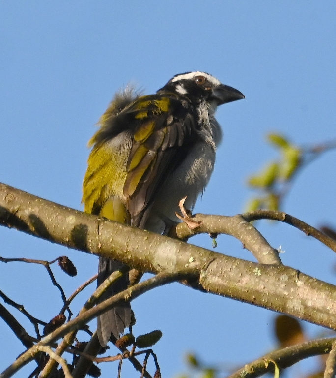 DSC_5028b.jpg