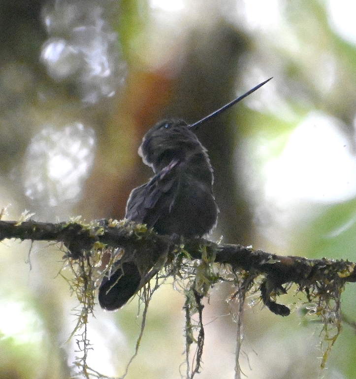 DSC_5056b.jpg