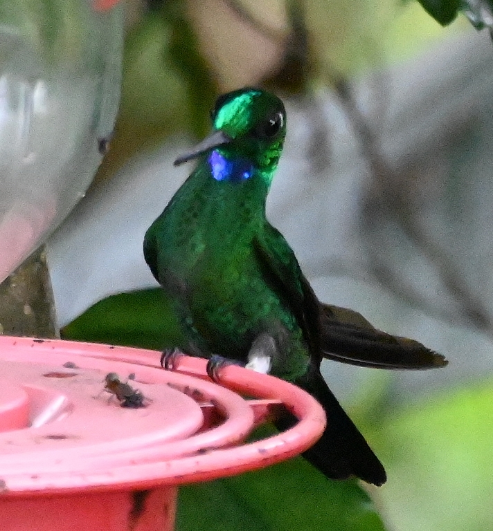 DSC_5131b.jpg