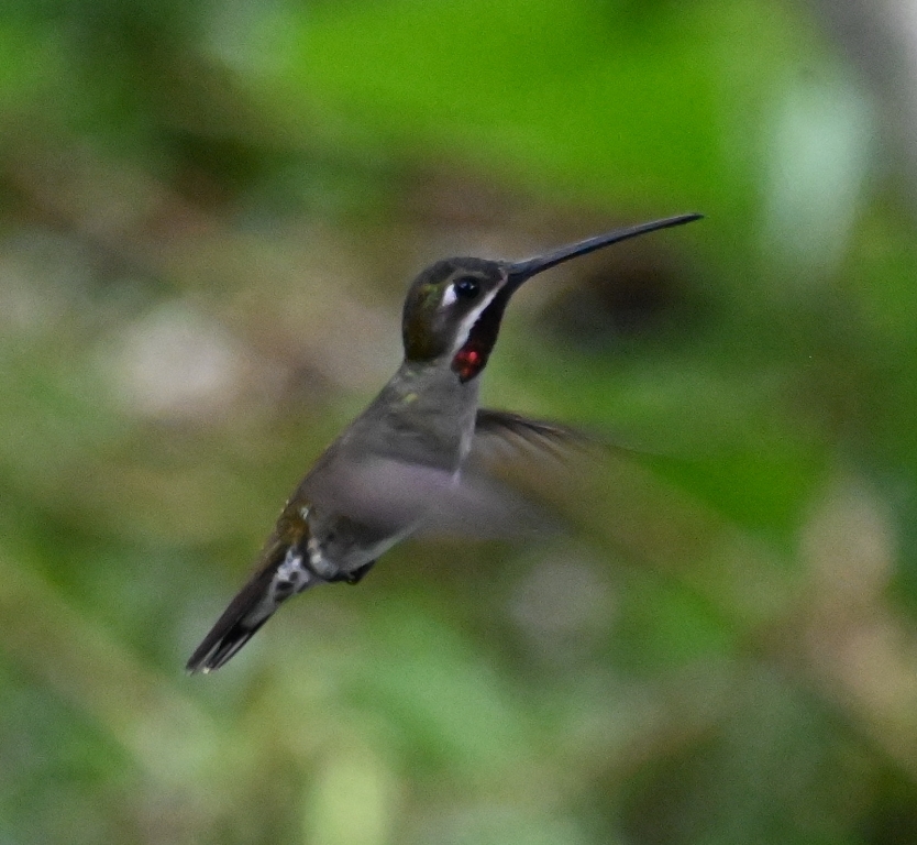 DSC_5156b.jpg