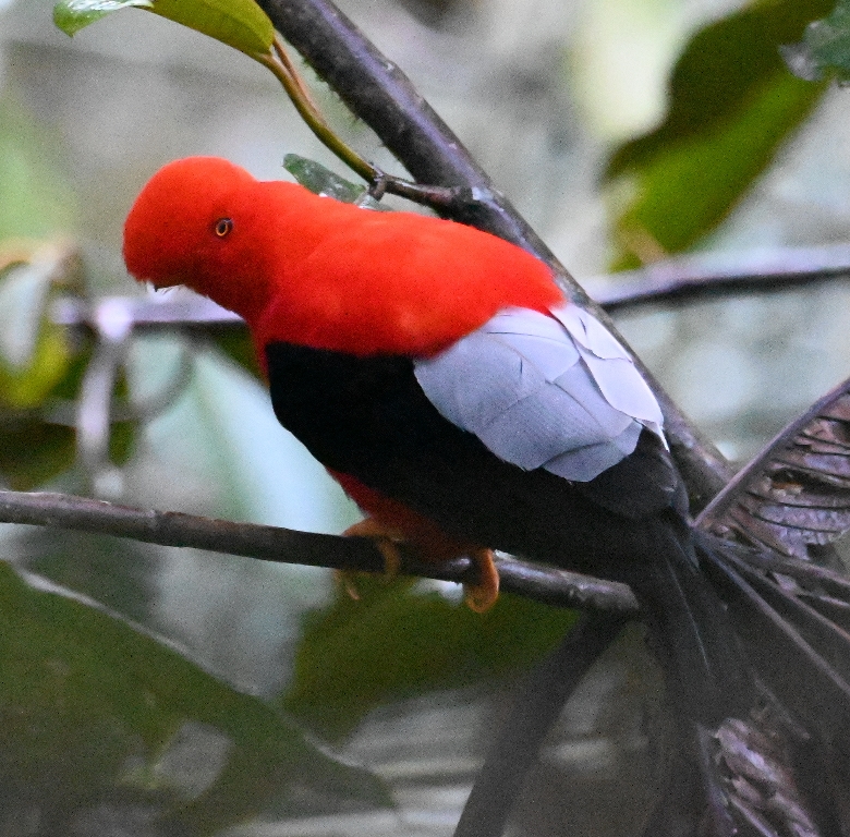DSC_5699b.jpg