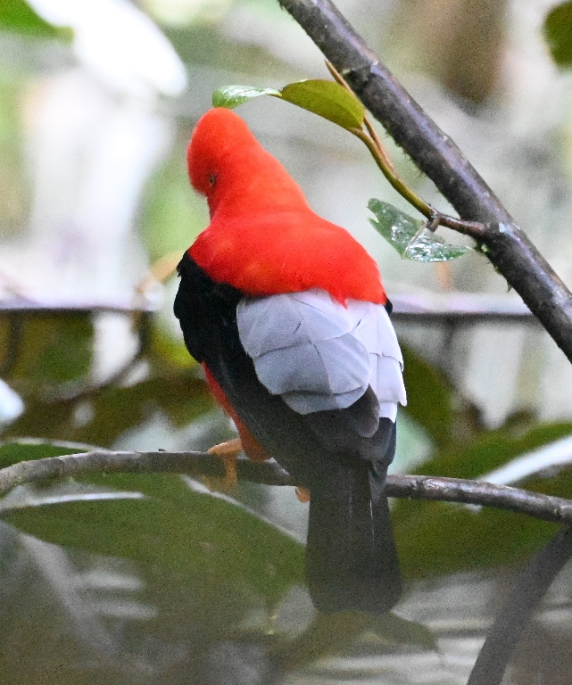 DSC_5704b.jpg