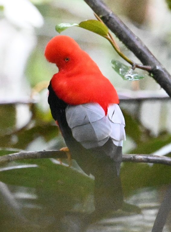 DSC_5709b.jpg