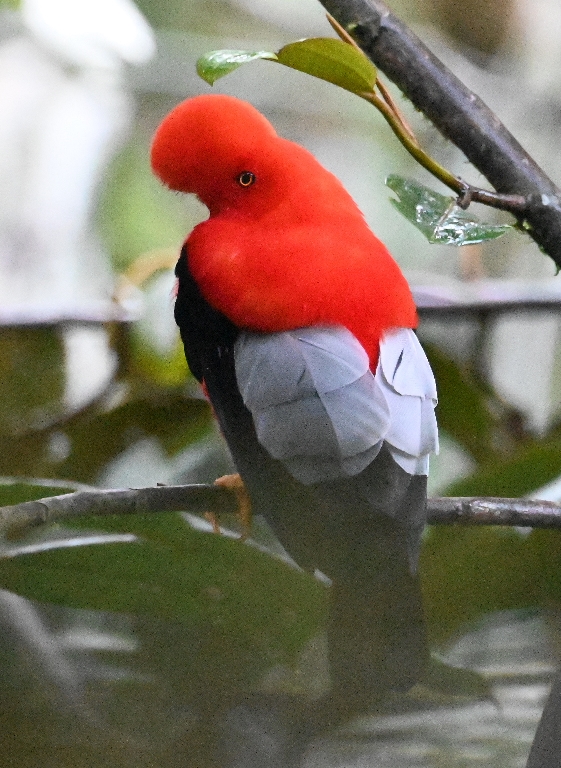 DSC_5712b.jpg
