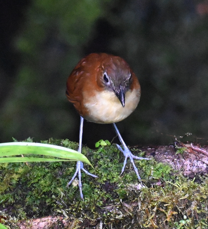 DSC_5859b.jpg