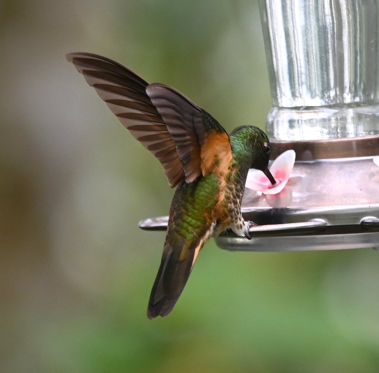 DSC_5923b.jpg