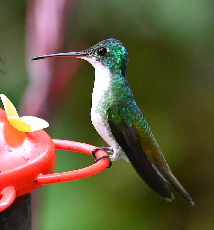 DSC_6163b.jpg