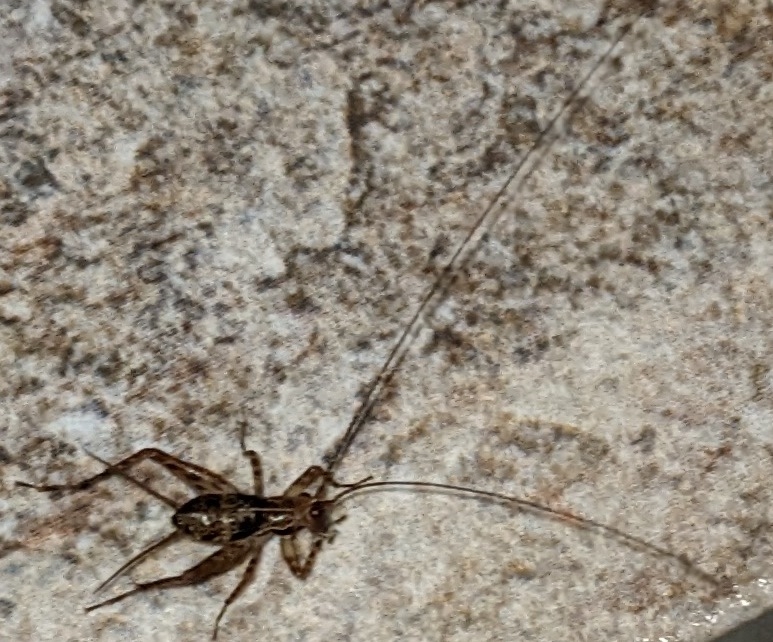 PXL_20240310_231220773b.jpg
