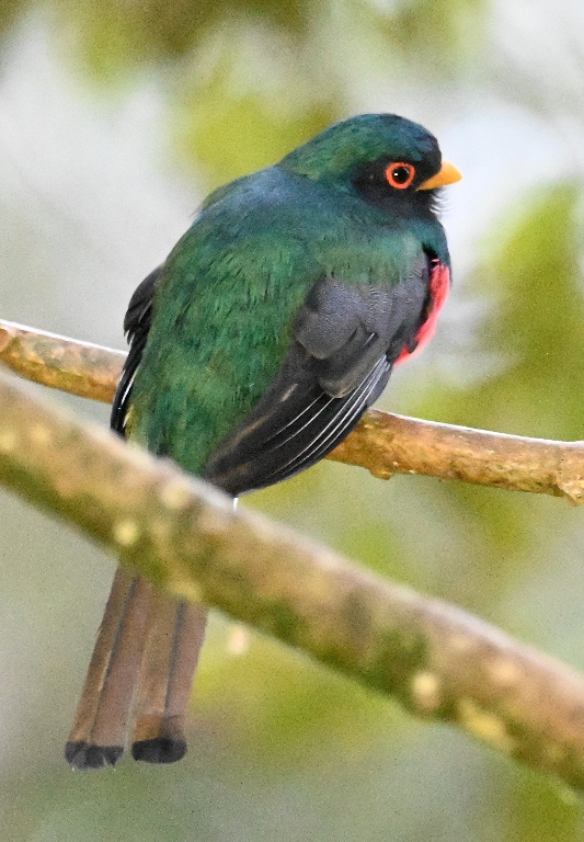 DSC_7003b.jpg