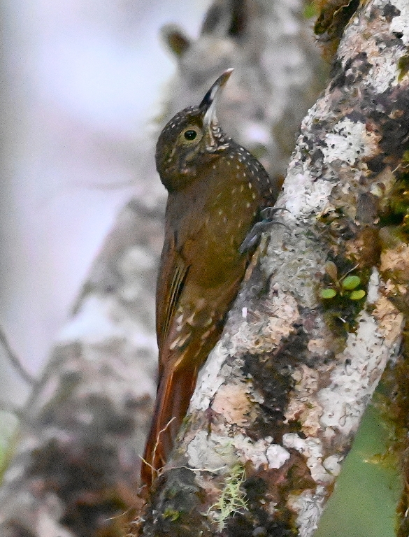 DSC_7023b.jpg