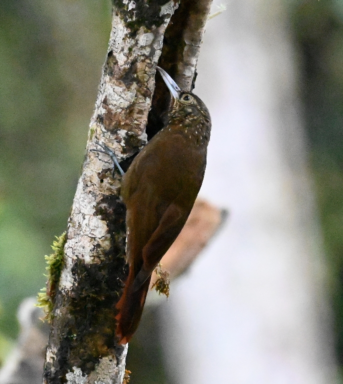 DSC_7030b.jpg