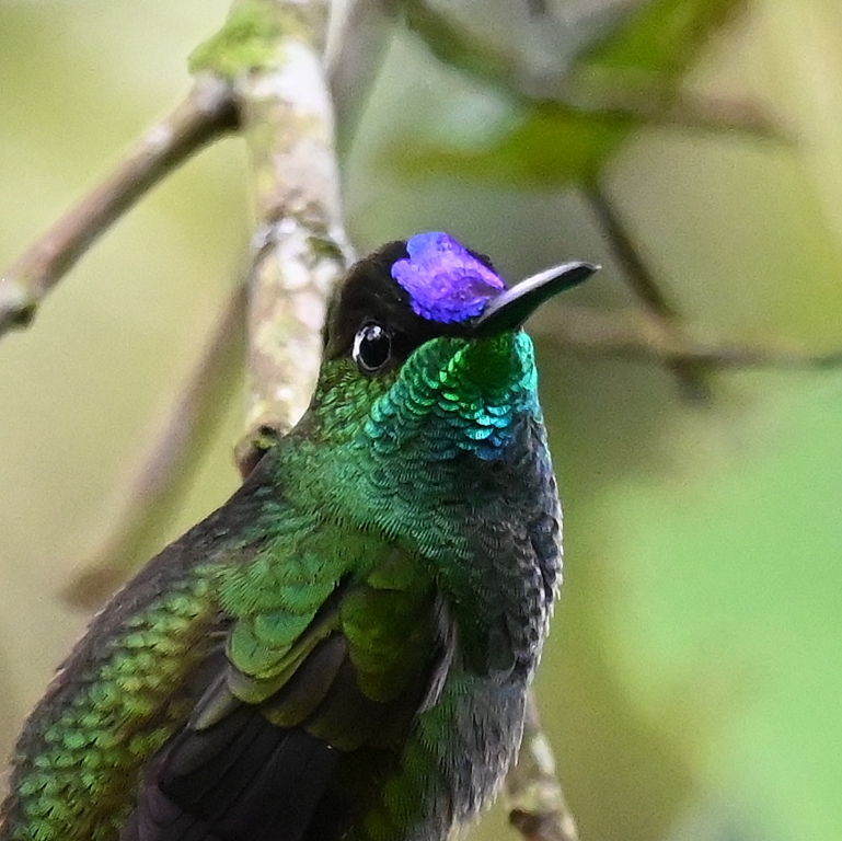 DSC_7298b.jpg