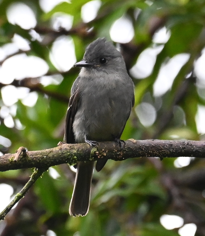 DSC_7314b.jpg