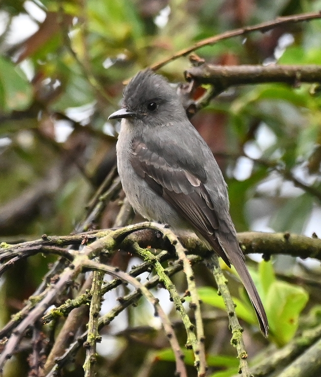 DSC_7328b.jpg