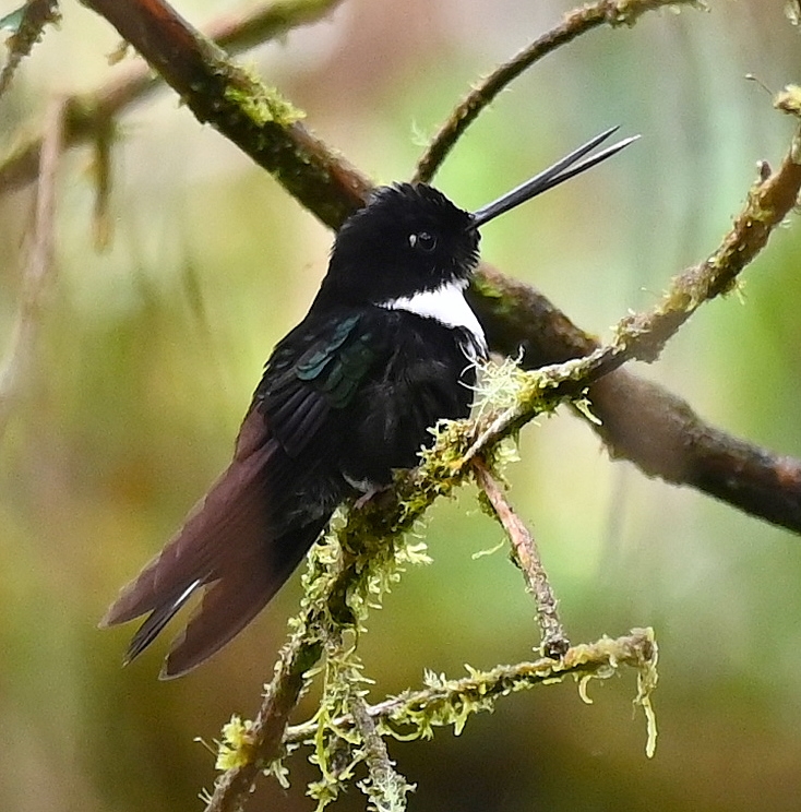 DSC_7359b.jpg