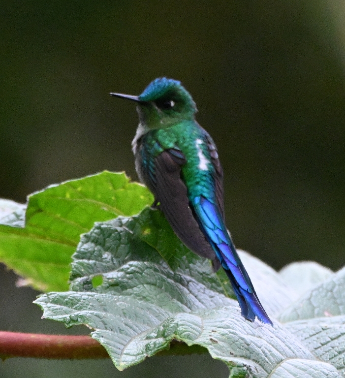 DSC_7492b.jpg