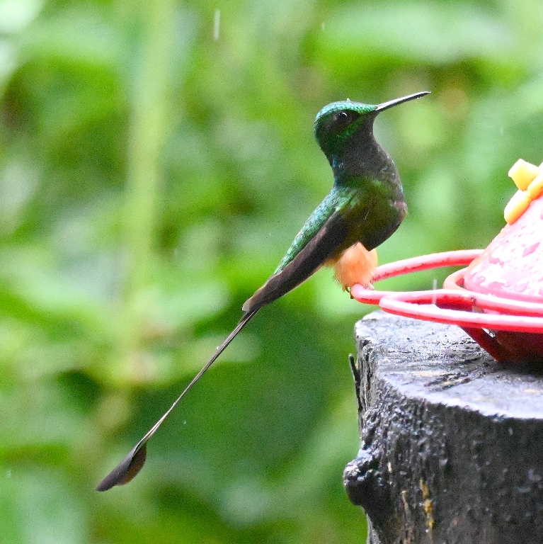 DSC_7588b.jpg