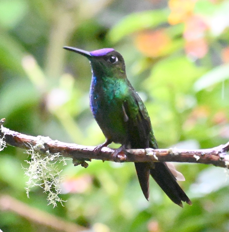 DSC_7674b.jpg