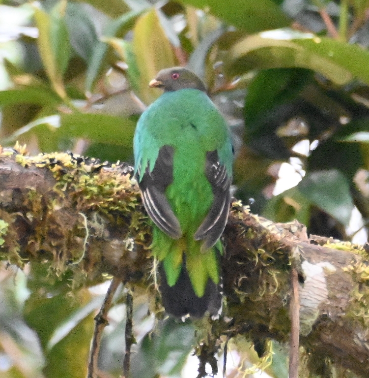DSC_8027b.jpg