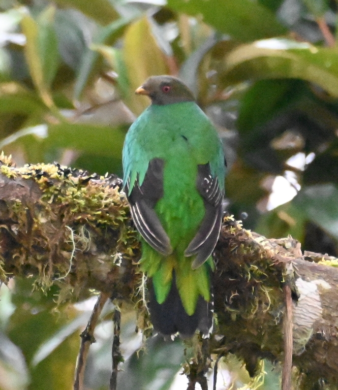 DSC_8029b.jpg