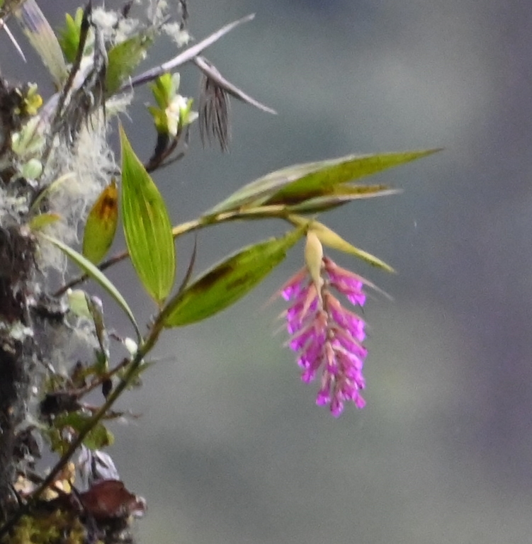 DSC_8114b.jpg