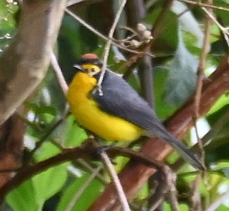 DSC_8121b.jpg
