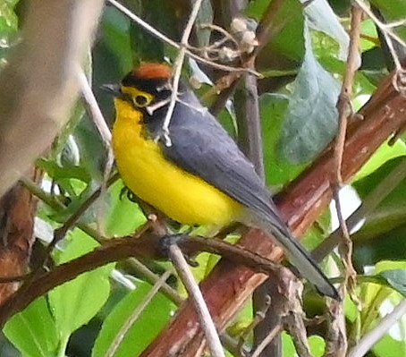 DSC_8122b.jpg