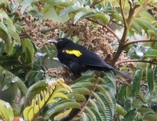 DSC_8166b.jpg