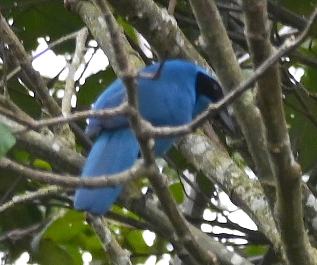 DSC_8186b.jpg