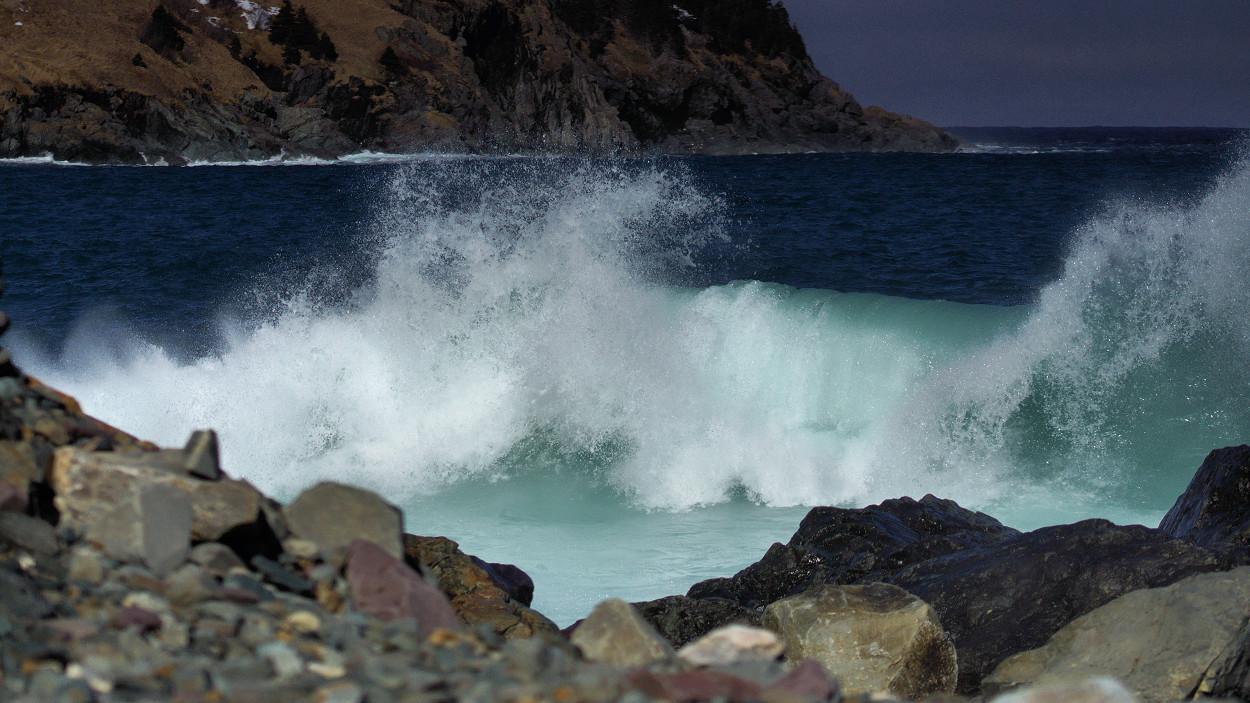 DSC07439 - Torbay Beach