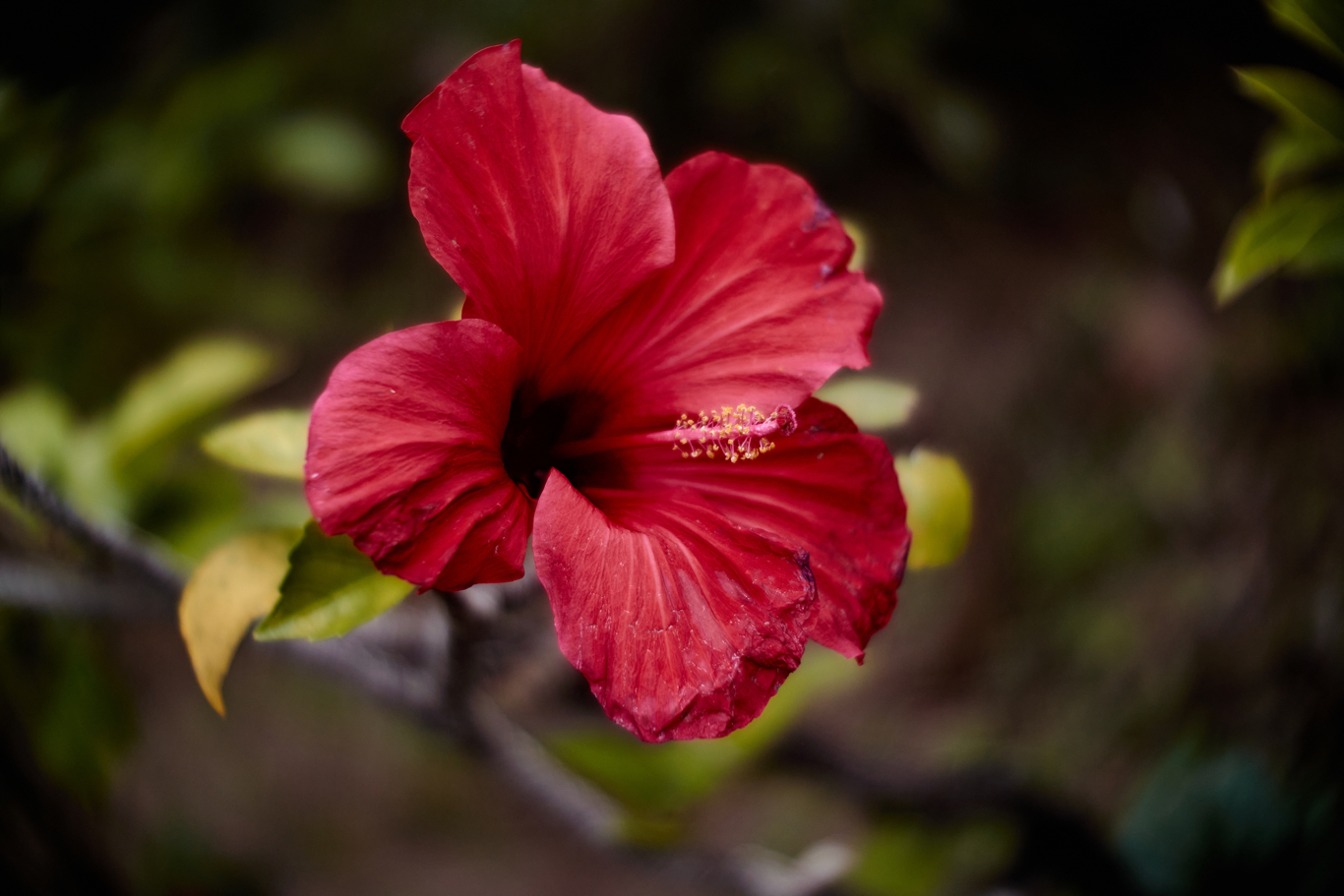 IMG_8882.jpeg