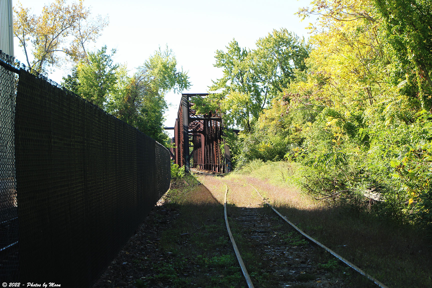 Portland - Middletown Bridges - C13510