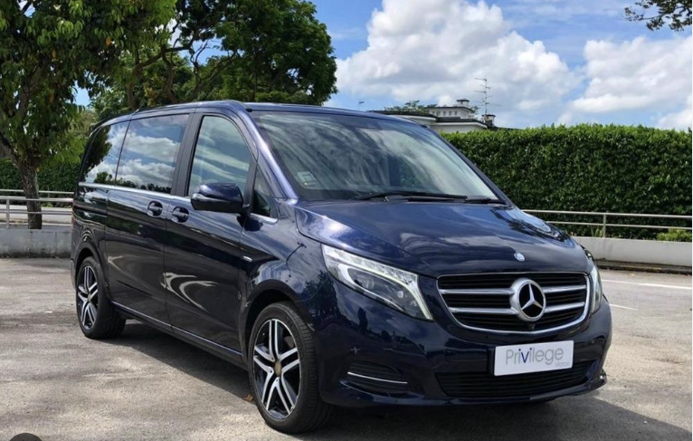 Merc Viano.png