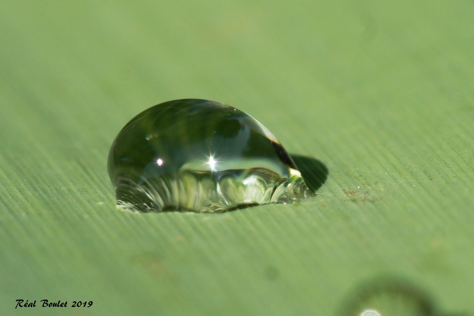 Goutte deau