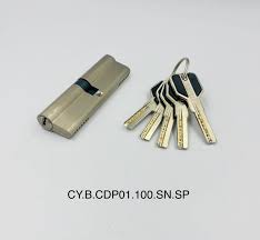 SFIC IC Core Cylinder Qatar.For more info, you can visit our website https://sanmarinoqatar.com/or call us at 0097455890708