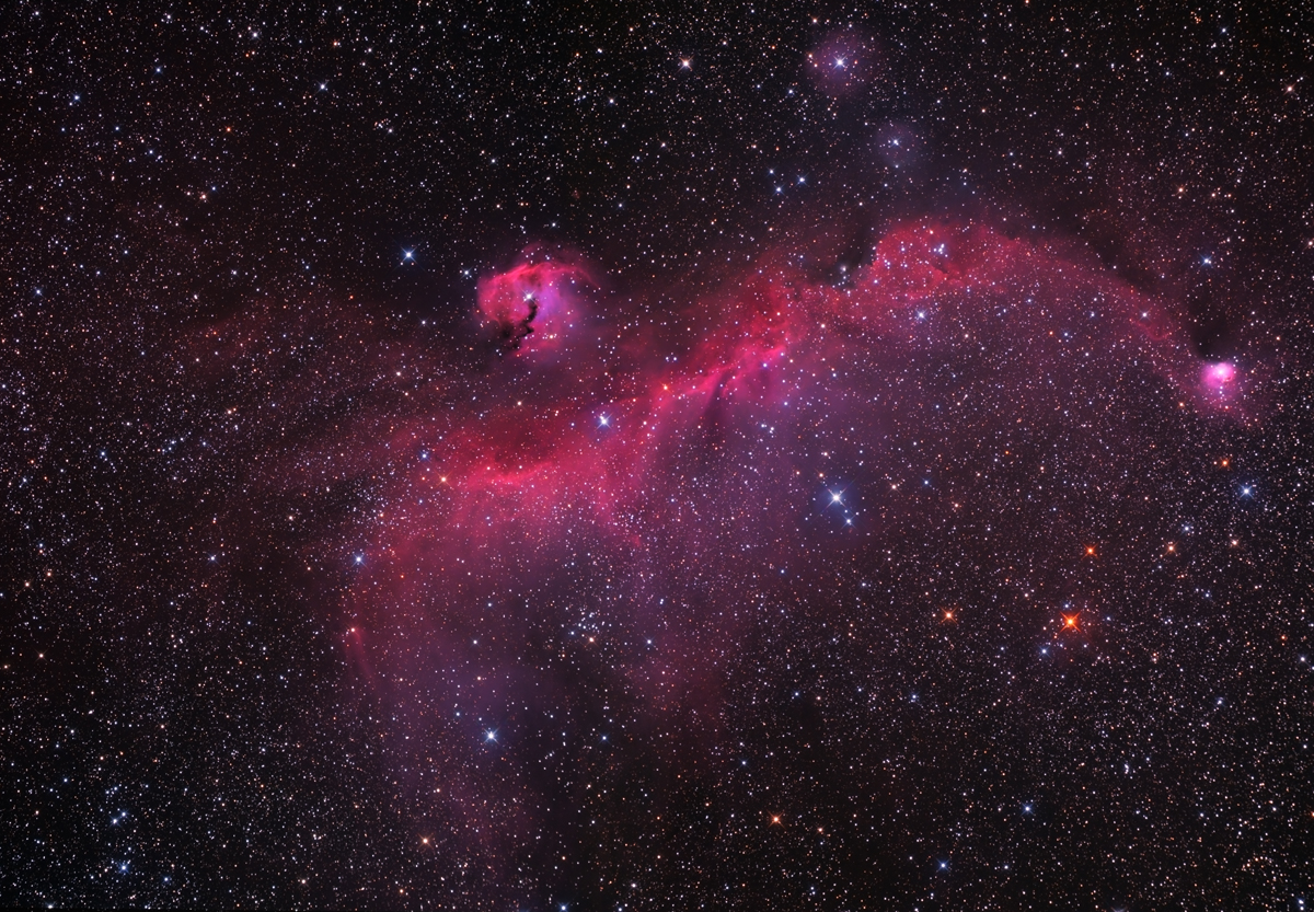 IC 2177  Seagull Nebula 