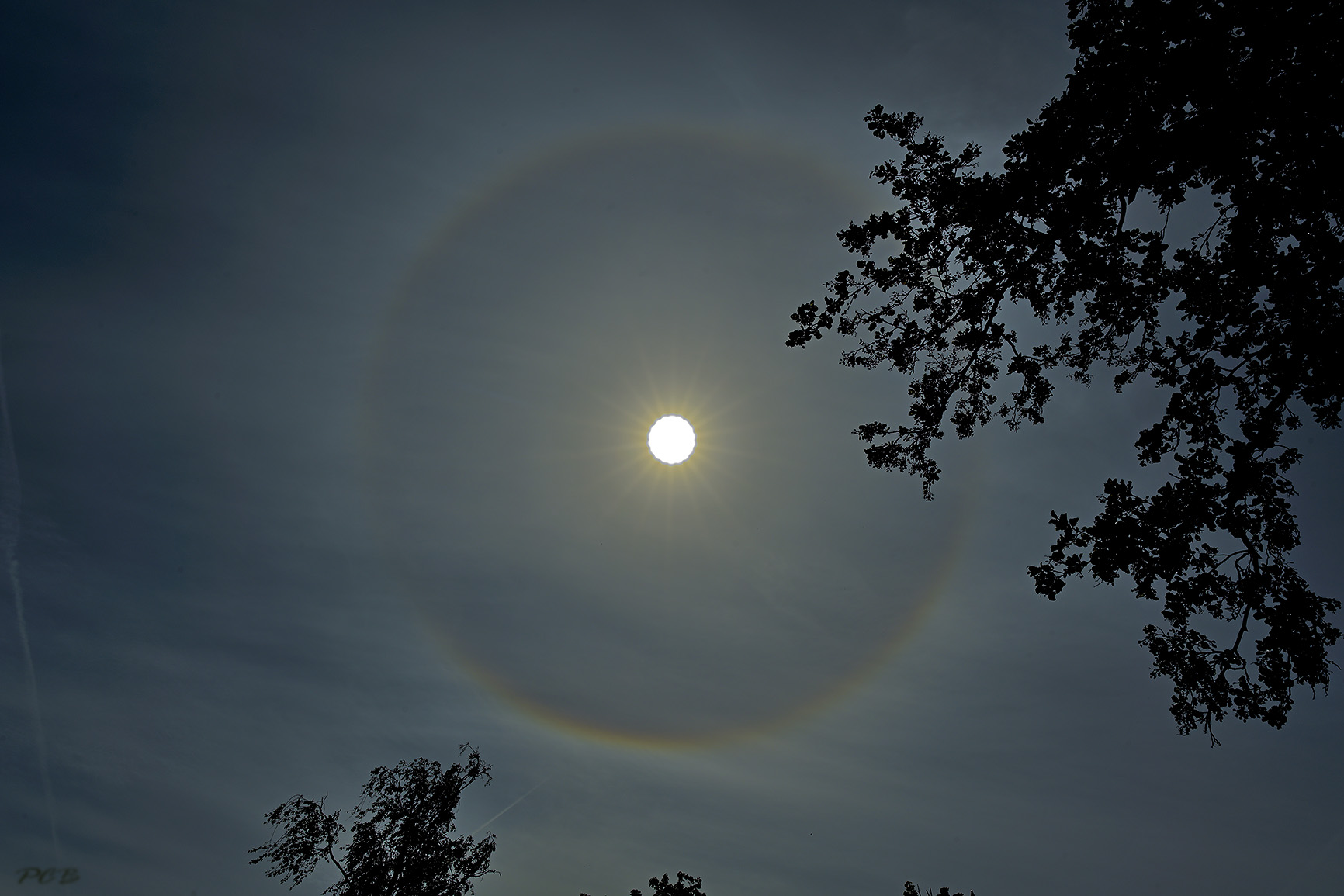 Halo