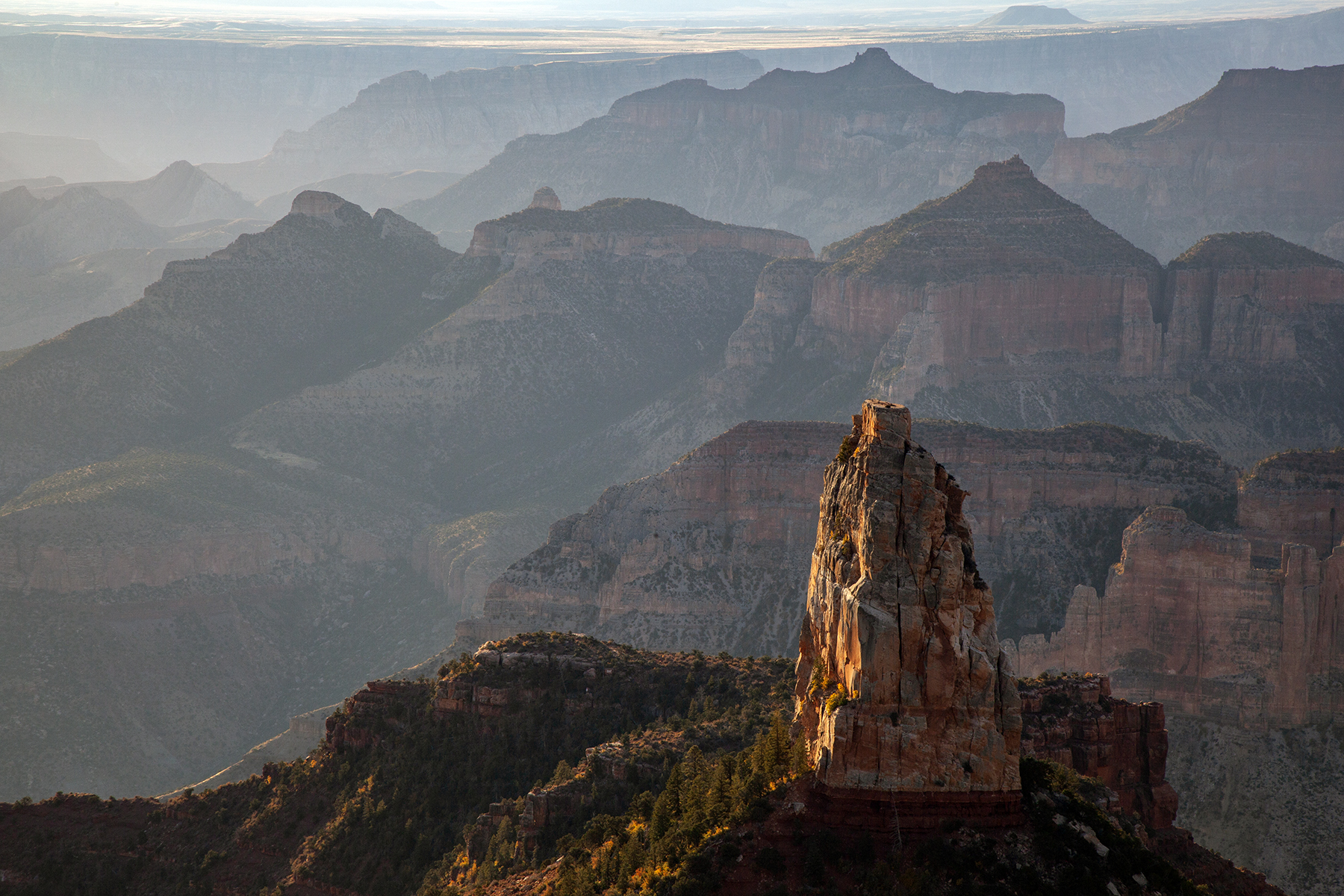 Sunrise At Imperial Point, North Rim Of The Grand Canyon, Arizona