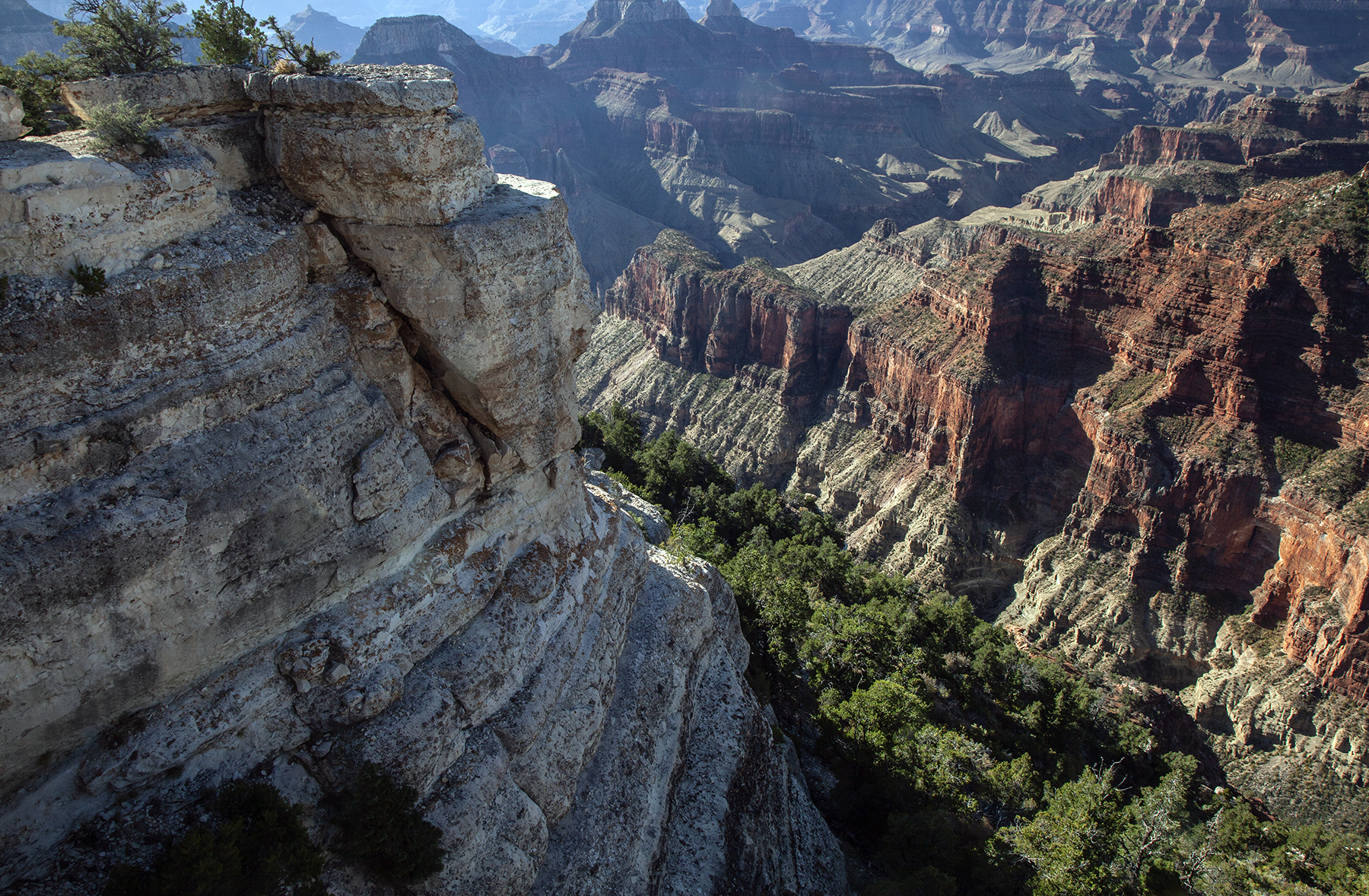 View From An Overlook Near The Lodge On The North Rim, Grand Canyon, Arizona