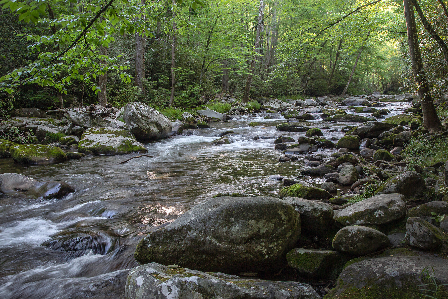 Little River Above Elkmont -Early Morning