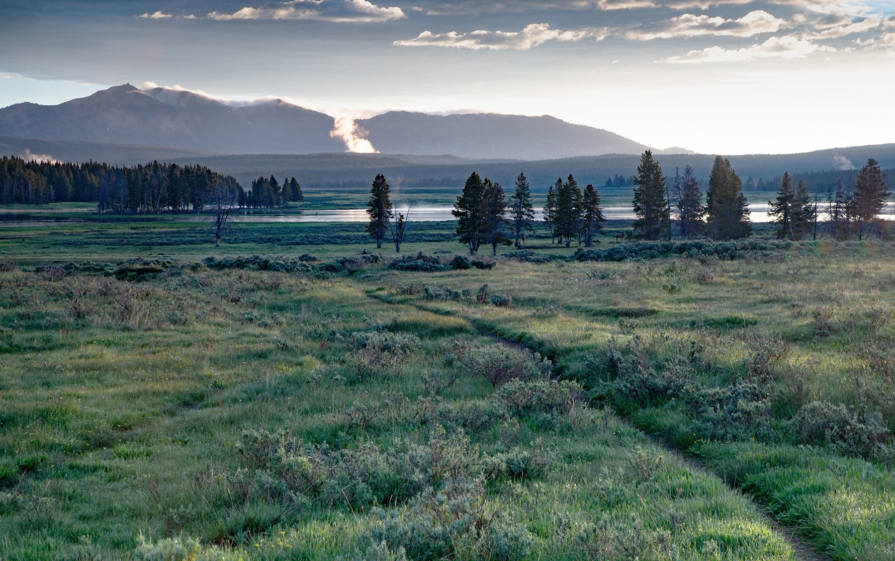  Sunrise Over The Hayden Valley 