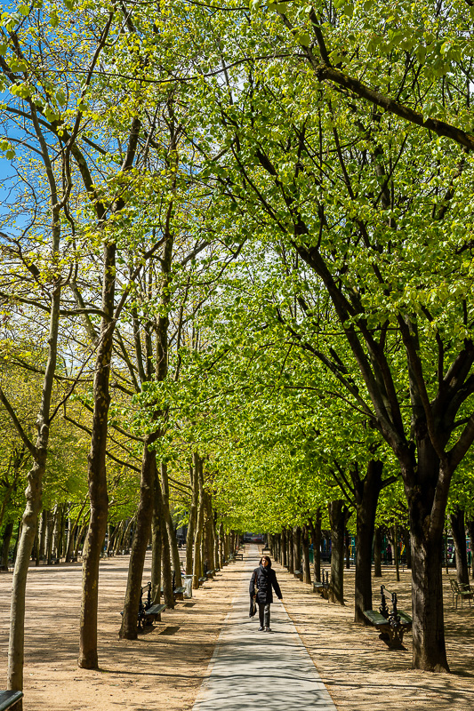 Jardin du Luxembourg VI