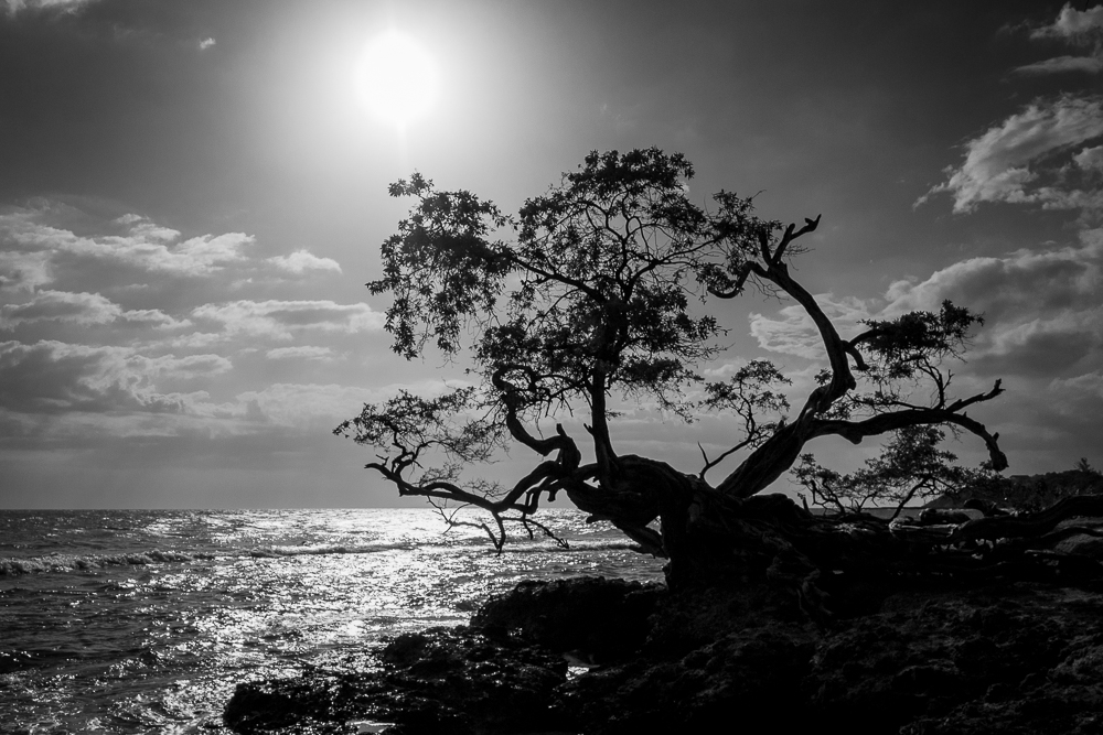 Silhouette