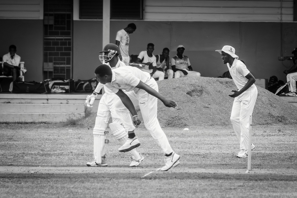 Cricket Study IX