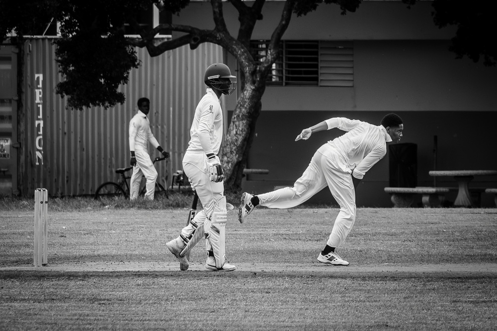 Cricket Study XV