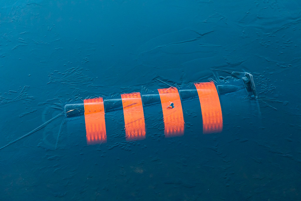 Traffic cone in the slowly freezing water of the inner harbour