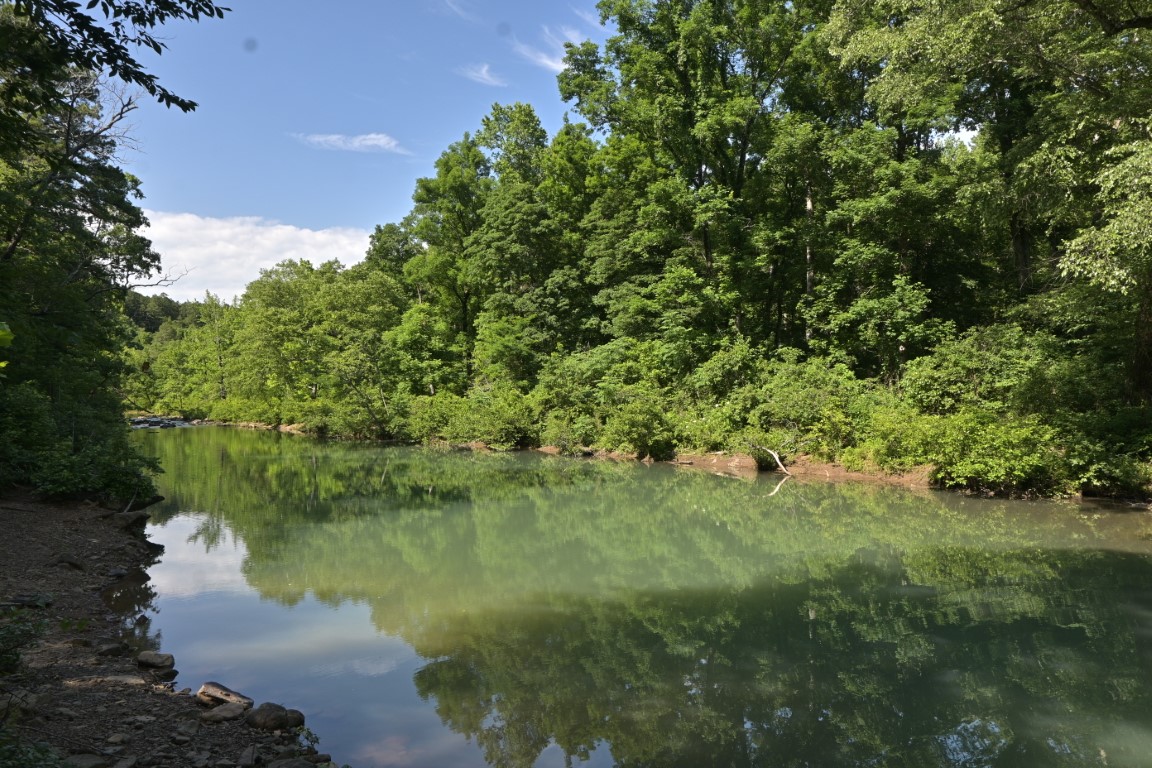 Illinois Bayou 